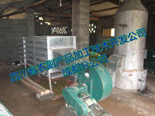 辣椒烘干設備技術指南 朝天椒與牛角椒的專業烘干解決方案