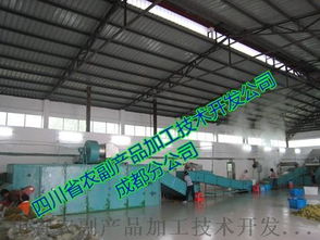 探秘脫水黃瓜生產線 技術與工藝的完美結合